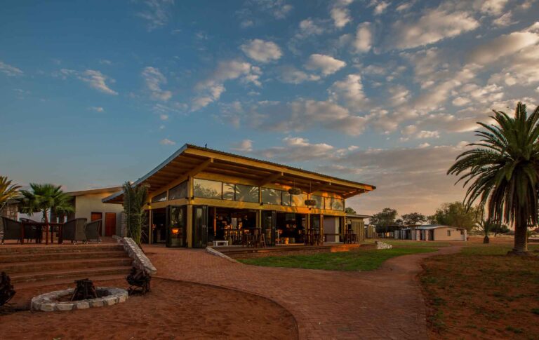 Moderne Lodge mit Panoramafenzen, umgeben von Palmen, perfekt für afrikanische Safaris.