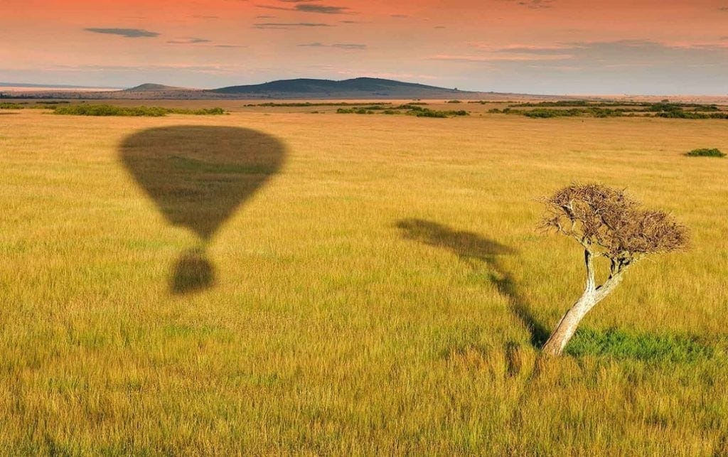 Faszinierende Ballon shadow auf afrikanischer Savanne bei Sonnenuntergang.