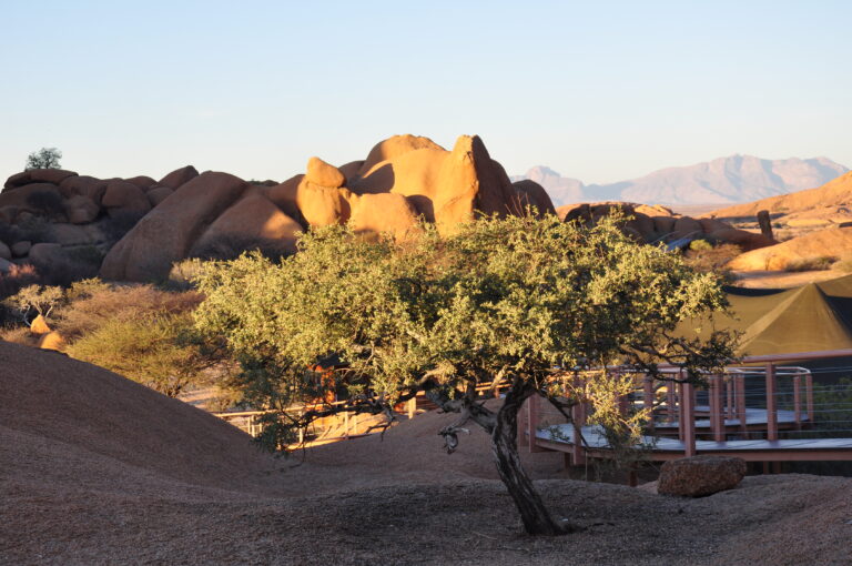 Wüstenreise in Namibia mit Felsen, Olivenbaum und Sonnenuntergang, Afrika Abenteuer.