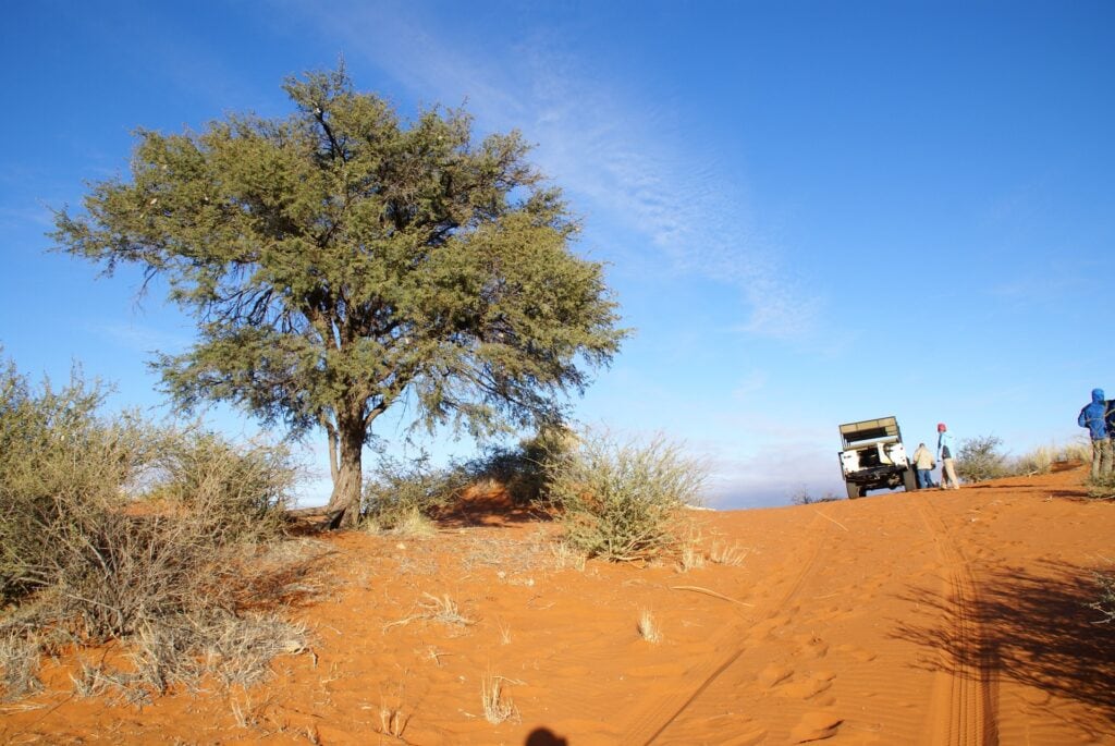 Alt Text: Abenteuerliche Safari in der afrikanischen Wüste mit Ranger und Geländewagen.
