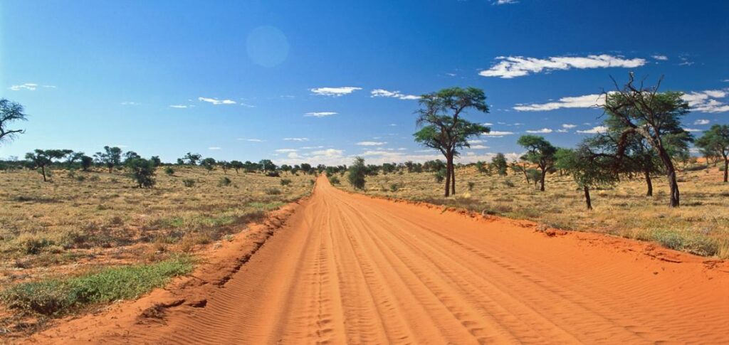 Weite Wüstenlandschaft in Afrika mit Sandstraße und Akazienbäumen.