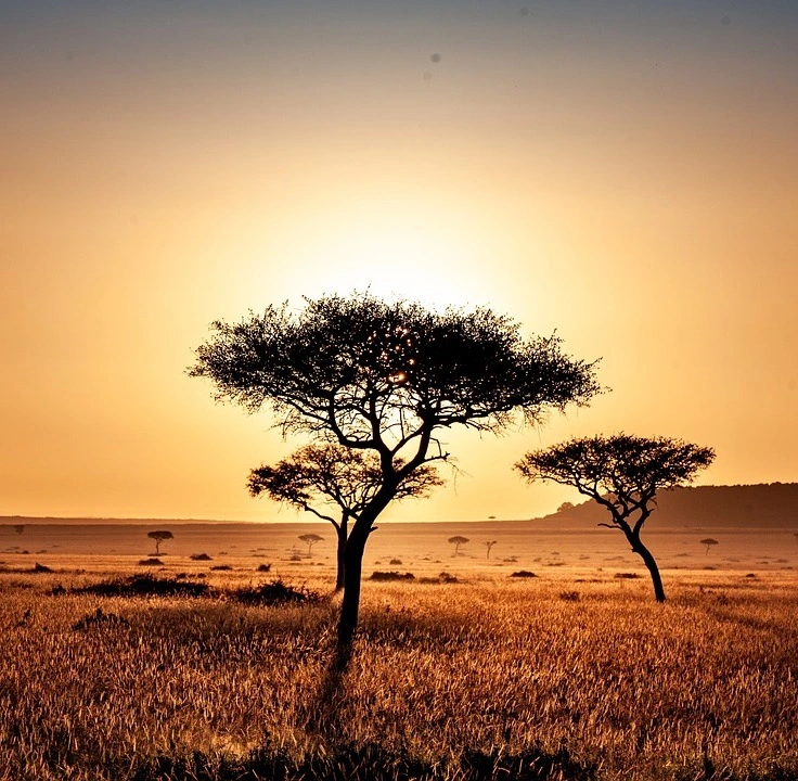 Masai Mara