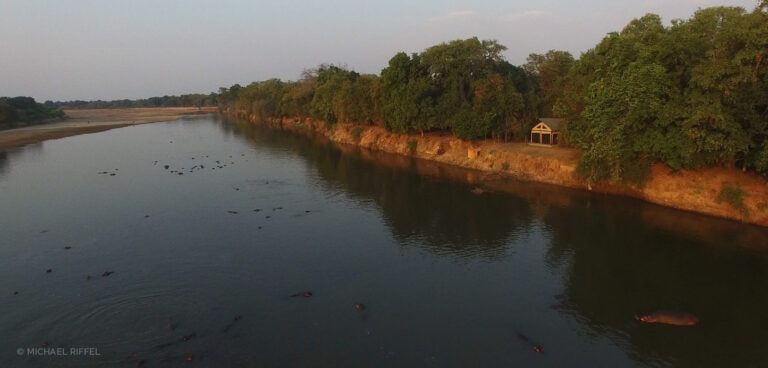 Alt: Fluss mit Wasserbüffeln und dichter Vegetation in Afrika, safarireise Erlebnis.