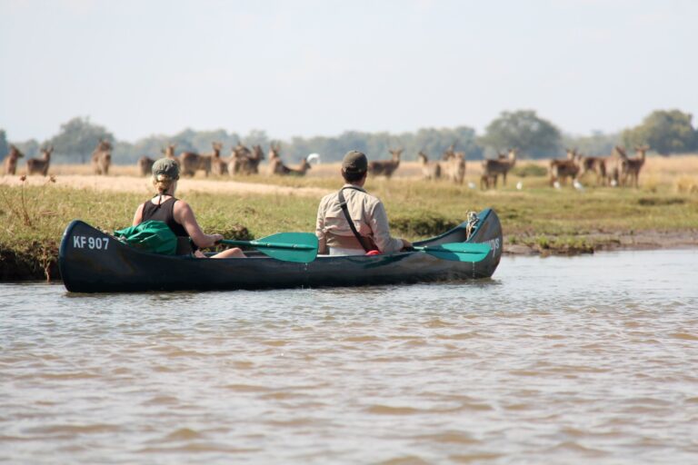 Zwei Touristen paddeln im Kanu in afrikanischer Natur, Wildtiere im Hintergrund.