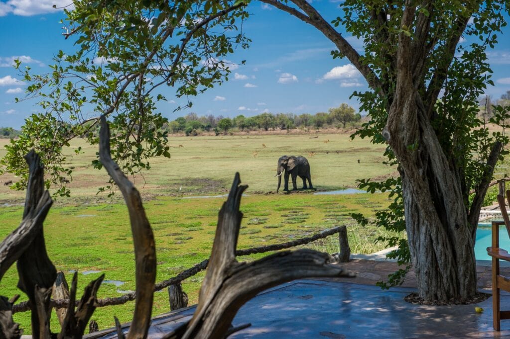 Afrika-Safari, Elefanten im Wasser, Tierbeobachtung, Serengeti, afrikanische Wildtiere, Naturerlebnis, Urlaub in Afrika.