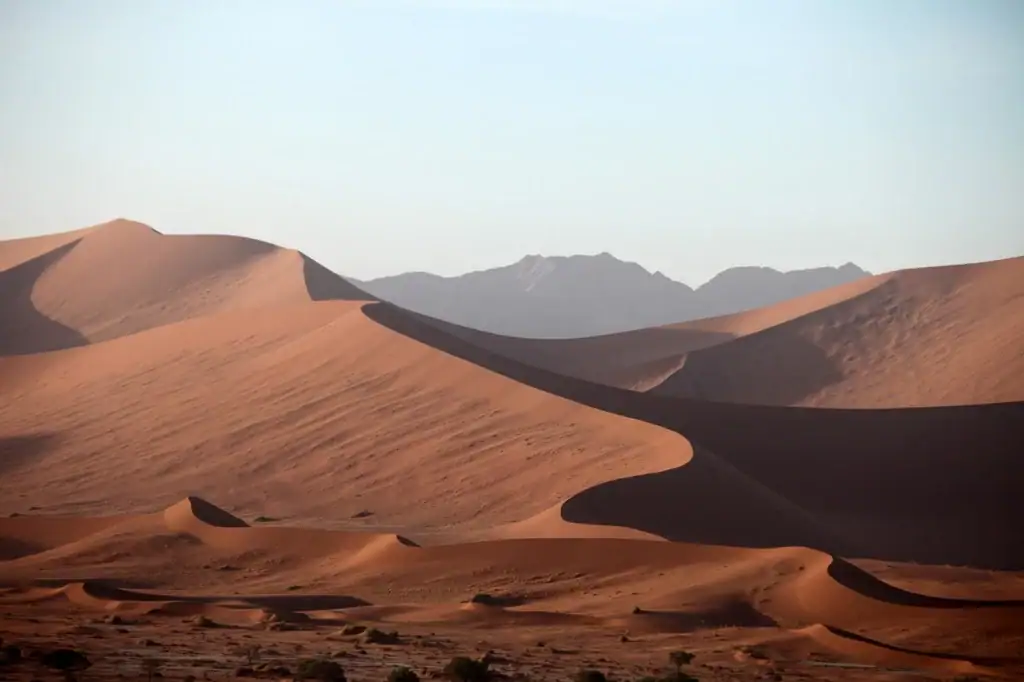 Wüste mit Sanddünen in Afrika, ideal für Safari und Abenteuerreisen in Nordafrika.