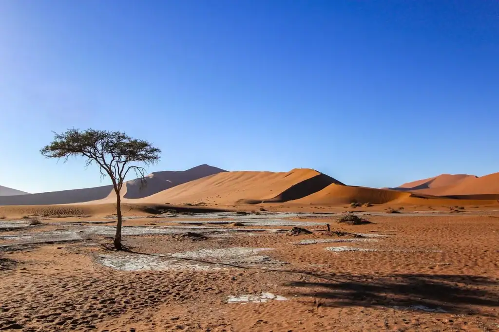 Wüstenlandschaft Namib mit Sanddünen und einzelner Baum, perfekte Afrika Reisetour.