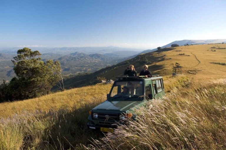 Nyika Plateo in Malawi - Geländewagen fährt durch Landschaft - 2 Personen schauen auf dem Hubdach