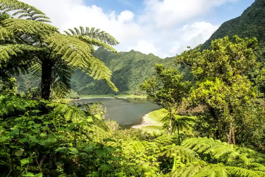 Dschungellandschaft in Afrika mit Fluss, Bergen und üppigem Grün.