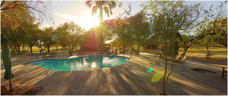 Erholsames Wasserloch im afrikanischen Safariresort, umgeben von Natur und Sonne.