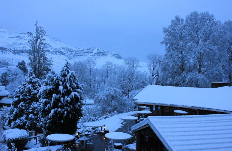 Schneebedeckte Bäume und Berge in einer afrikanischen Winterlandschaft.