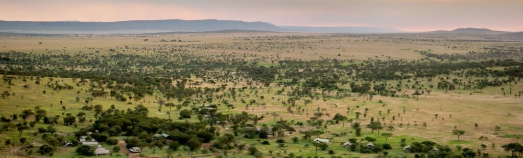 Weite afrikanische Savanne bei Sonnenuntergang, mit Tierherden und Tieren in ihrer natürlichen Umgebung.