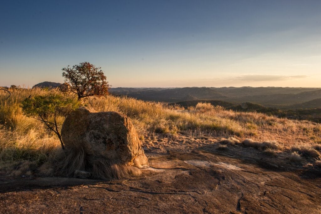 Außenaufnahme der afrikanischen Savannenlandschaft bei Sonnenuntergang mit Bäumen und hohen Gräsern.