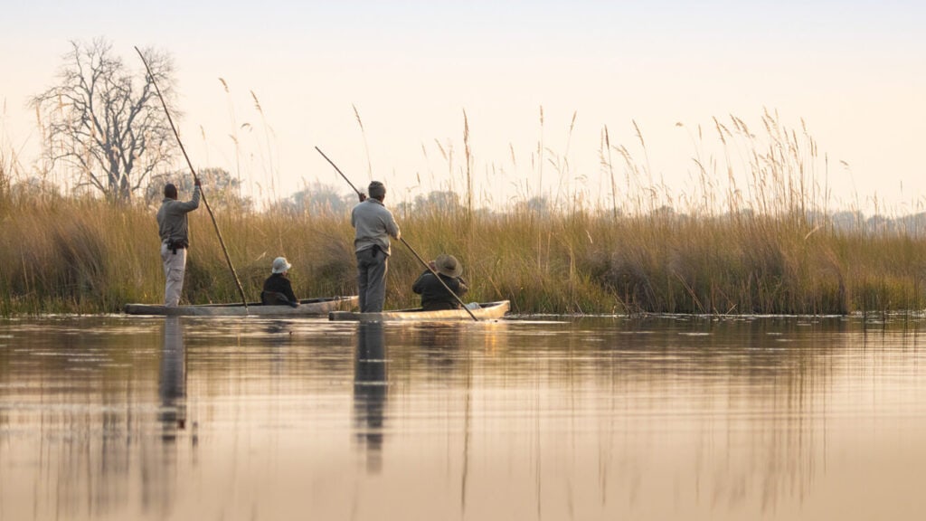Safari in Afrika, Flussfahrt, Tierbeobachtung, Naturerlebnis, Afrika Reisen.