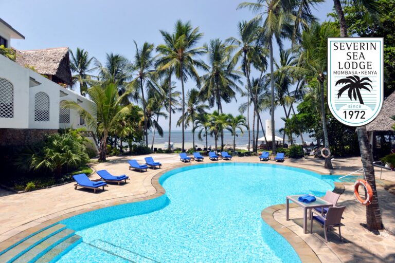 Blaue Liegestühle am Pool mit Palmen und Meerblick.