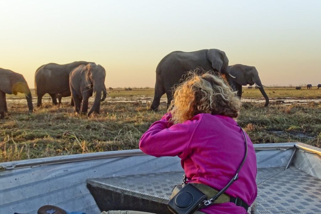 Erwachsene und junge Elefanten in Haftkleid im Savannenlandschaft bei Sonnenuntergang, Afrikareise, Tierbeobachtung.