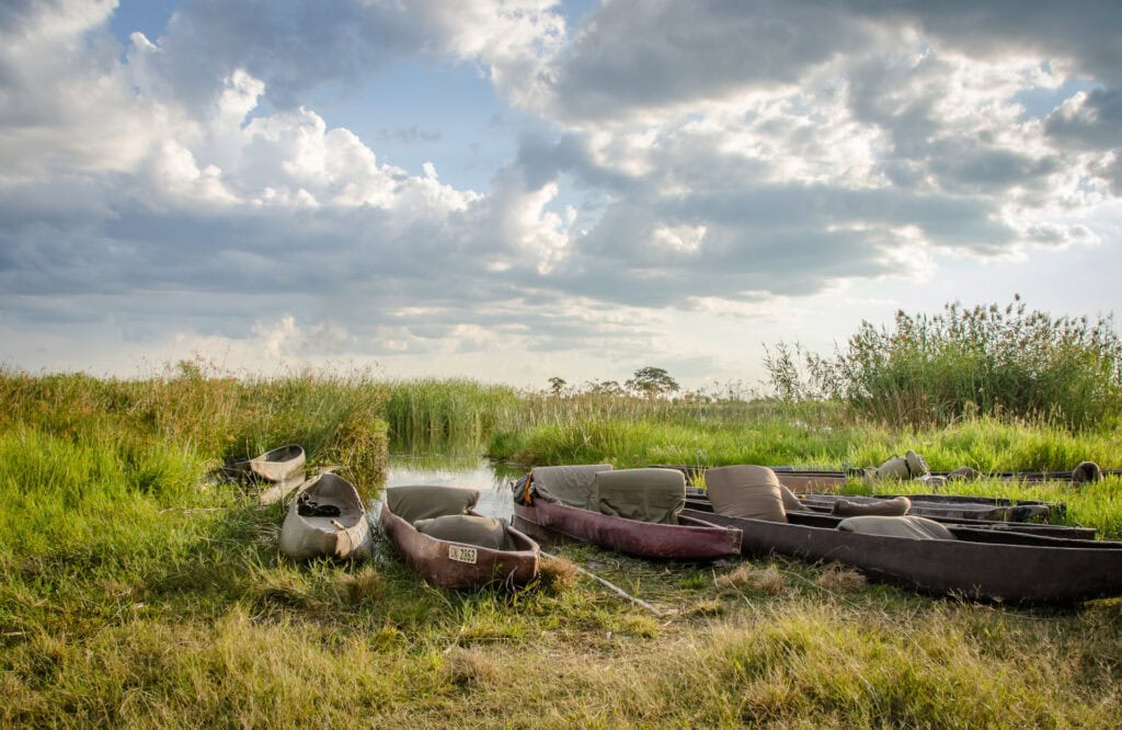 Bootsverleih auf Fluss in Afrika, Wasserweg, Natur, Wildtiere, Outdoor-Abenteuer.