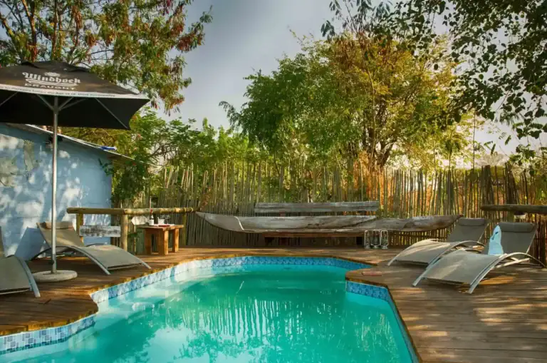 Badebereich mit Pool, Sonnenliegen und afrikanischem Garten, ideal für Urlaub in Afrika.