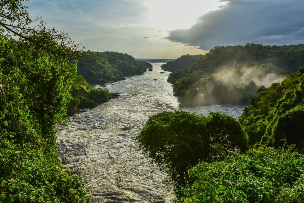 Alternativer Text: Fluss im afrikanischen Regenwald mit Sonnenstrahlen und üppiger grüner Vegetation.