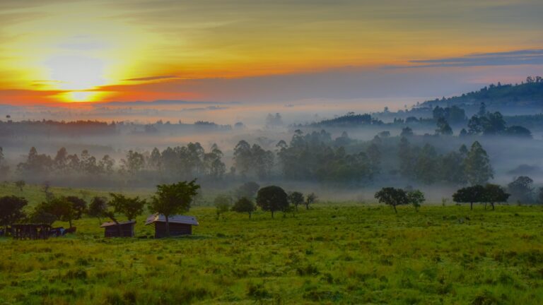 Buntes Sonnenaufgangsbild über afrikanischen Wäldern, Morgennebel und grüne Landschaften, perfekte Safari für Afrika-Abenteuer.