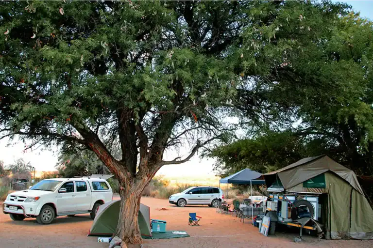 Ein Afrikacamp unter einem großen Baum mit Zelten, Autos und Campingausrüstung in der Wildnis, ideal für Safari-Urlaub in Afrika.