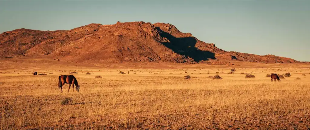Abenteuer in Afrikas Natur.