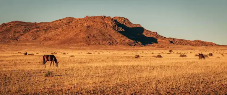 Abenteuer in Afrikas Natur.