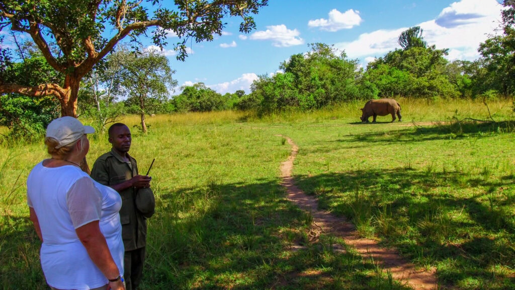 Erwachsene und Guide bei Safari im grünem afrikanischen Busch.