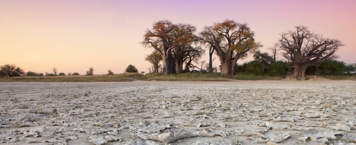 Botswana Landschaft