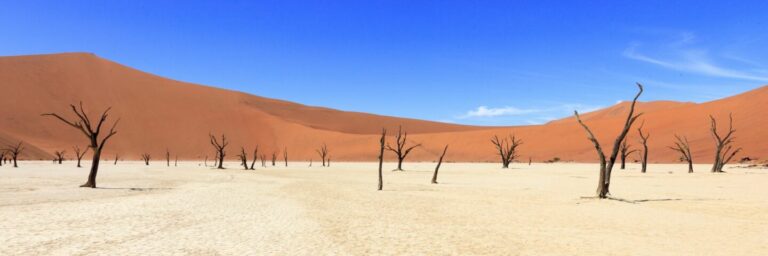 Alte, kahle Bäume im Dead Vlei, Namibia, mit weißen Salzpfannen, Sanddünen und blauen Himmel.