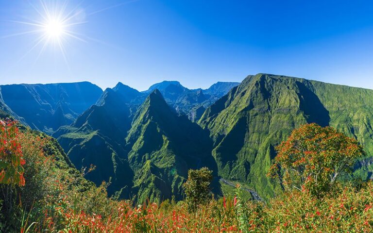 Beeindruckende grüne Berge und Blüten.