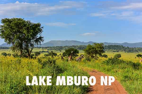 Lake Mburo Nationalpark