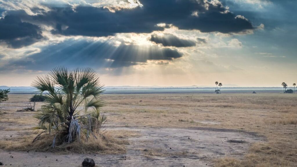 Wüstenlandschaft in Afrika mit Palmen, Sonnenstrahlen und Wolken am Himmel.