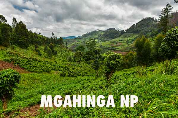 Mgahinga Nationalpark