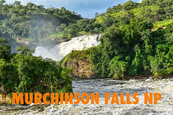 Murchinson Falls Nationalpark
