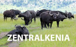 Nationalparks-in-Kenia-zentralkenia