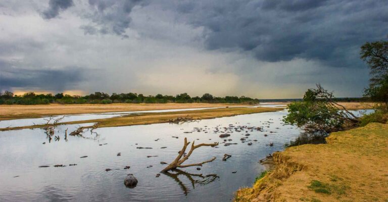 Alte Bäume und Wasser im afrikanischen Grasland, dramatischer Himmel.