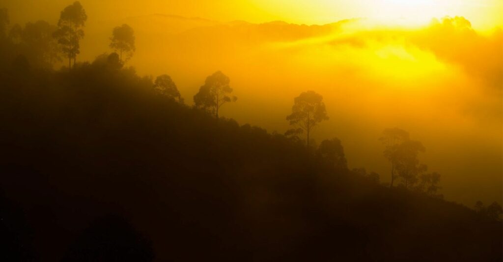 Sonnenaufgang in afrikanischer Natur, Tier- und Berglandschaft, Regenwald.