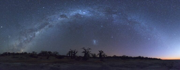 Sternenhimmel in einem afrikanischen Nationalpark bei Nacht, ideal für Safari- und Reisefans.