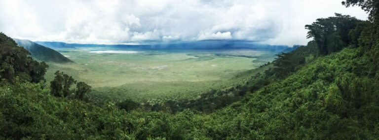 grüne Landschaft von Tansania
