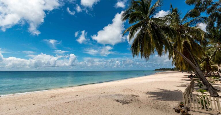 Strand mit Palmen, blauer Himmel und Wasser, ideal für Afrika-Reisen.