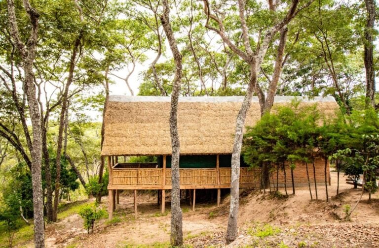 Alt Text: Traditionelle afrikanische Lodge inmitten von Bäumen, Safari-Urlaub in Afrika.