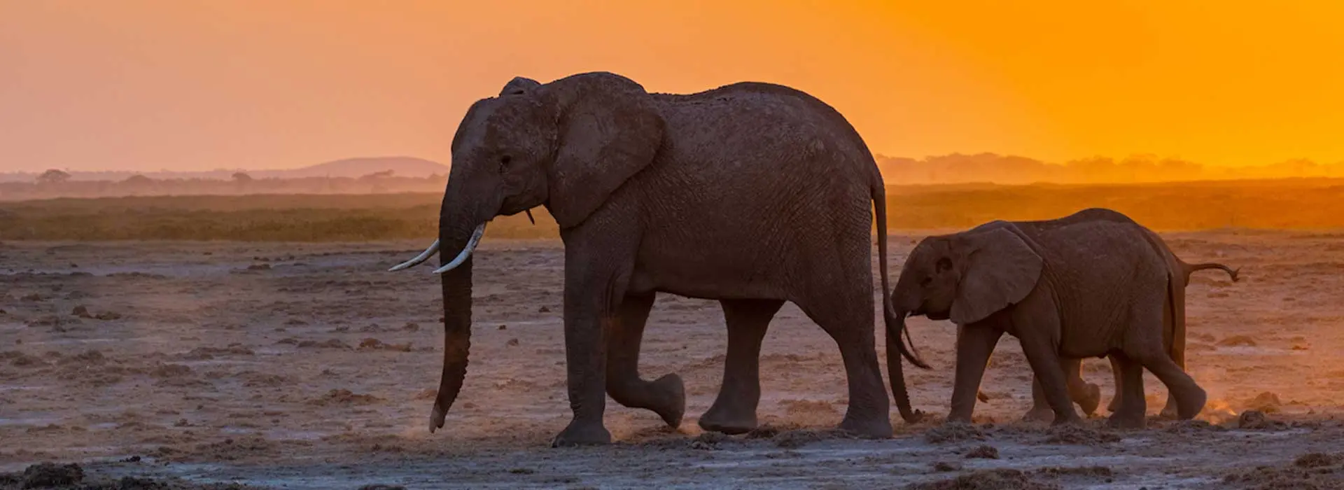 Elefantenfamile im Amboseli Nationalpark