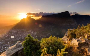 Signal Hill und Lions Head