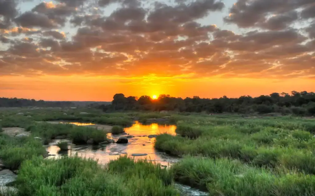Alt Text: Malerischer Sonnenuntergang über einer Flusslandschaft in Afrika, grüne Vegetation und Wolken am Himmel.