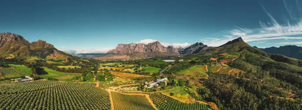 Aussicht auf Weingärten und Bergen in Afrika, ideal für Safari-Liebhaber und Weintouren.