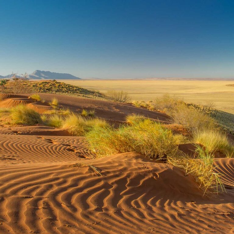 Die kalahari in Namibia - wunderschöne Landschaften und Sanddünen