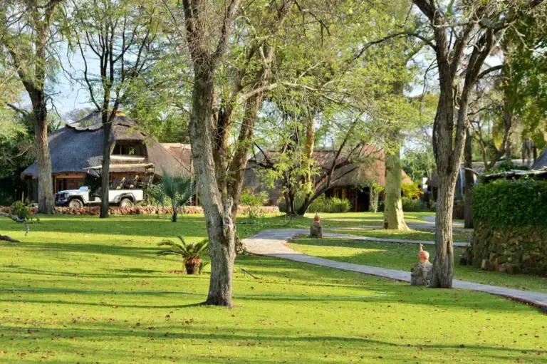 Alfabetischer Pfad durch die afrikanische Lodge mit grüner Wiese, Bäumen und traditionellen Rundhäuser, Safari- und Naturerlebnis, Afrika-Reisetraum.