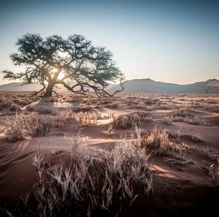Namibwüste in Namibia