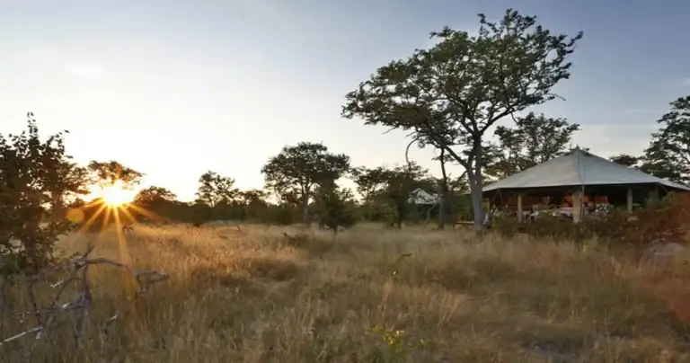 Alt-Text: Safari-Lodge in der Savanne mit Sonnenuntergang und Tierbeobachtung.
